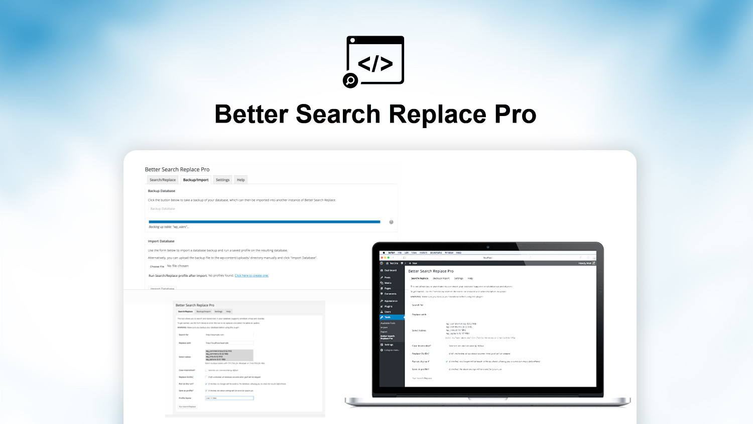 Better Search Replace Pro: Effortless Database Search and Replace for WordPress